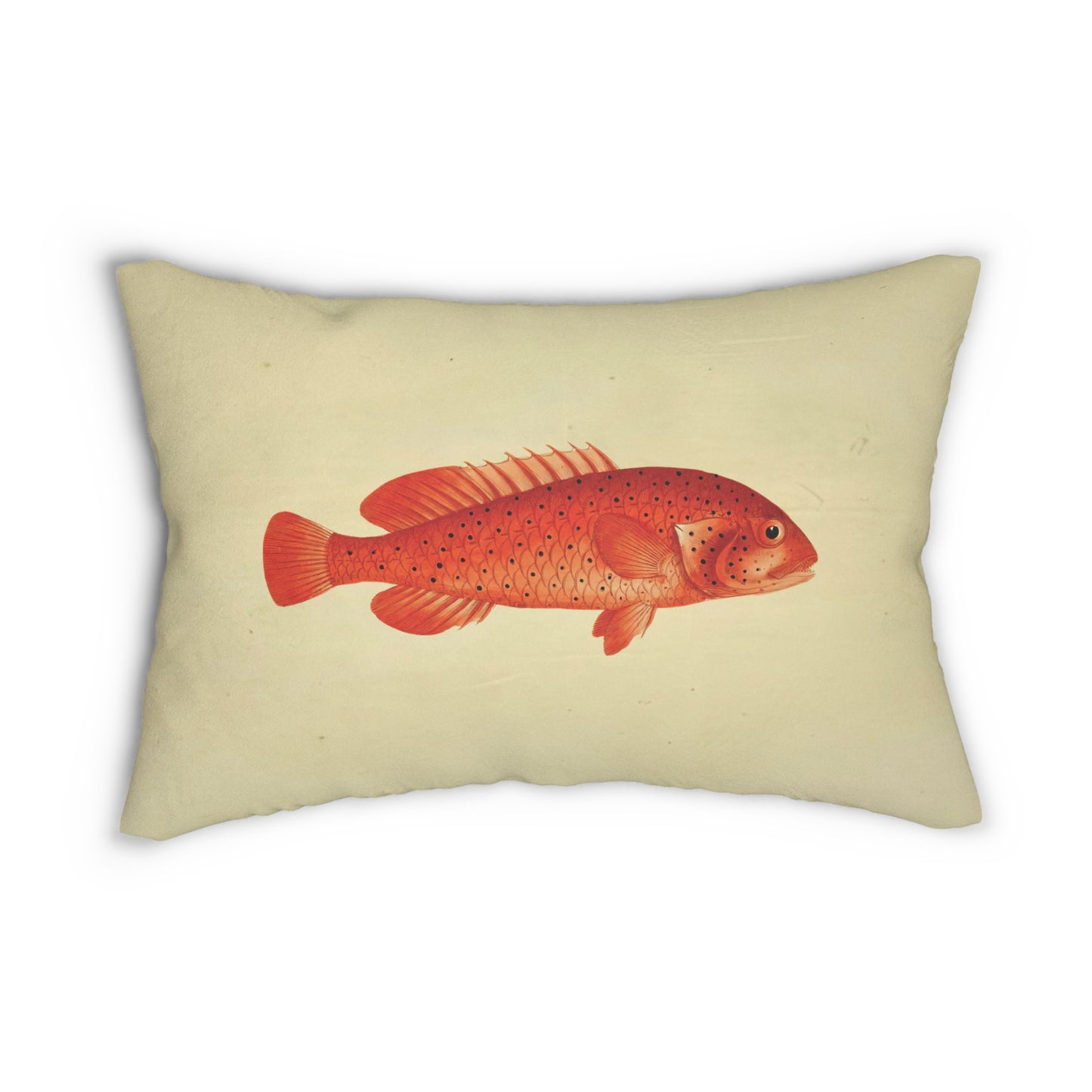 Vintage Illustrations The Coney Fish Spun Polyester Lumbar Pillow