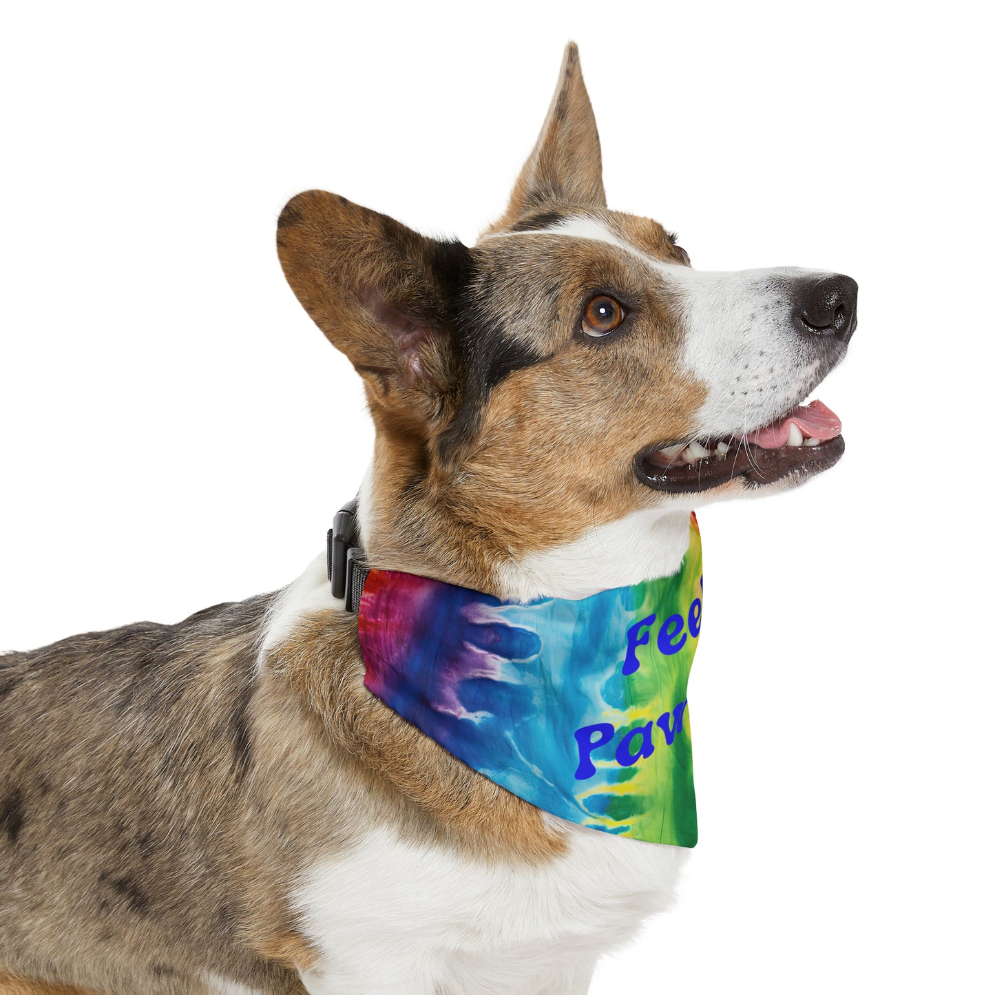 Feeling' Pawsitive Pet Bandana Collar