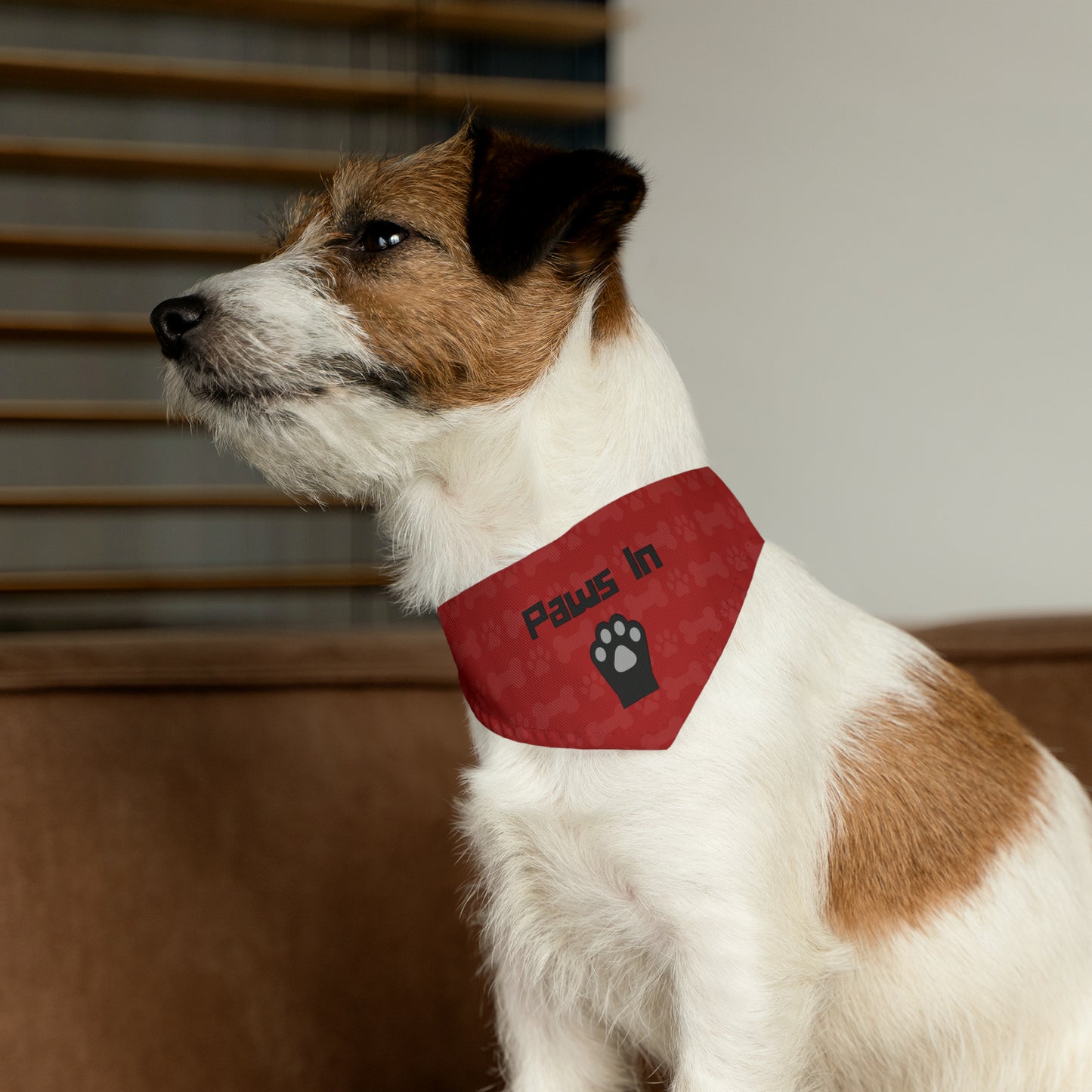 Paws In Pet Bandana Collar