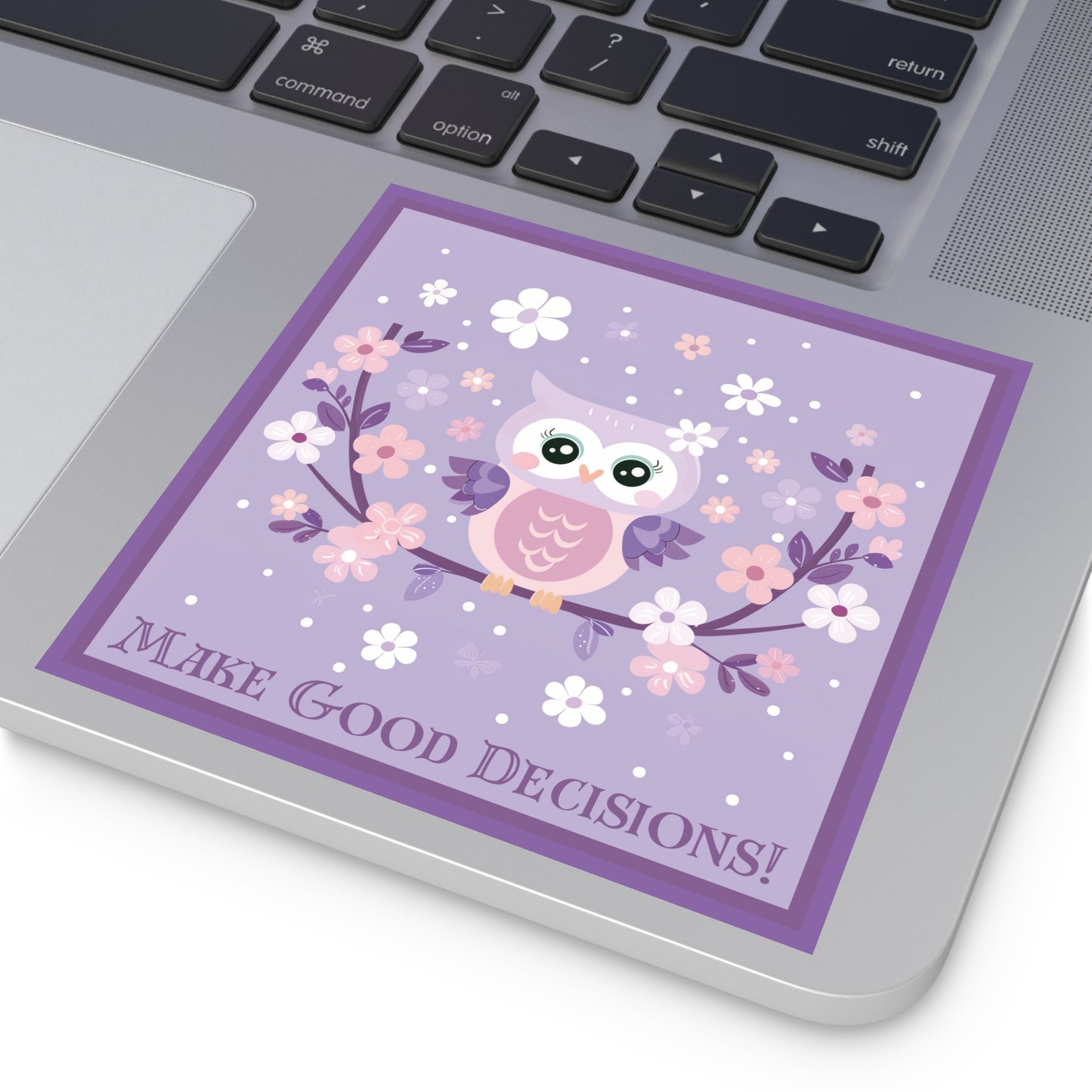 Make Good Decisions Owl Stickers, Indoor\Outdoor