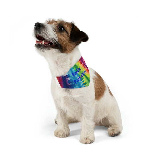 Feeling' Pawsitive Pet Bandana Collar