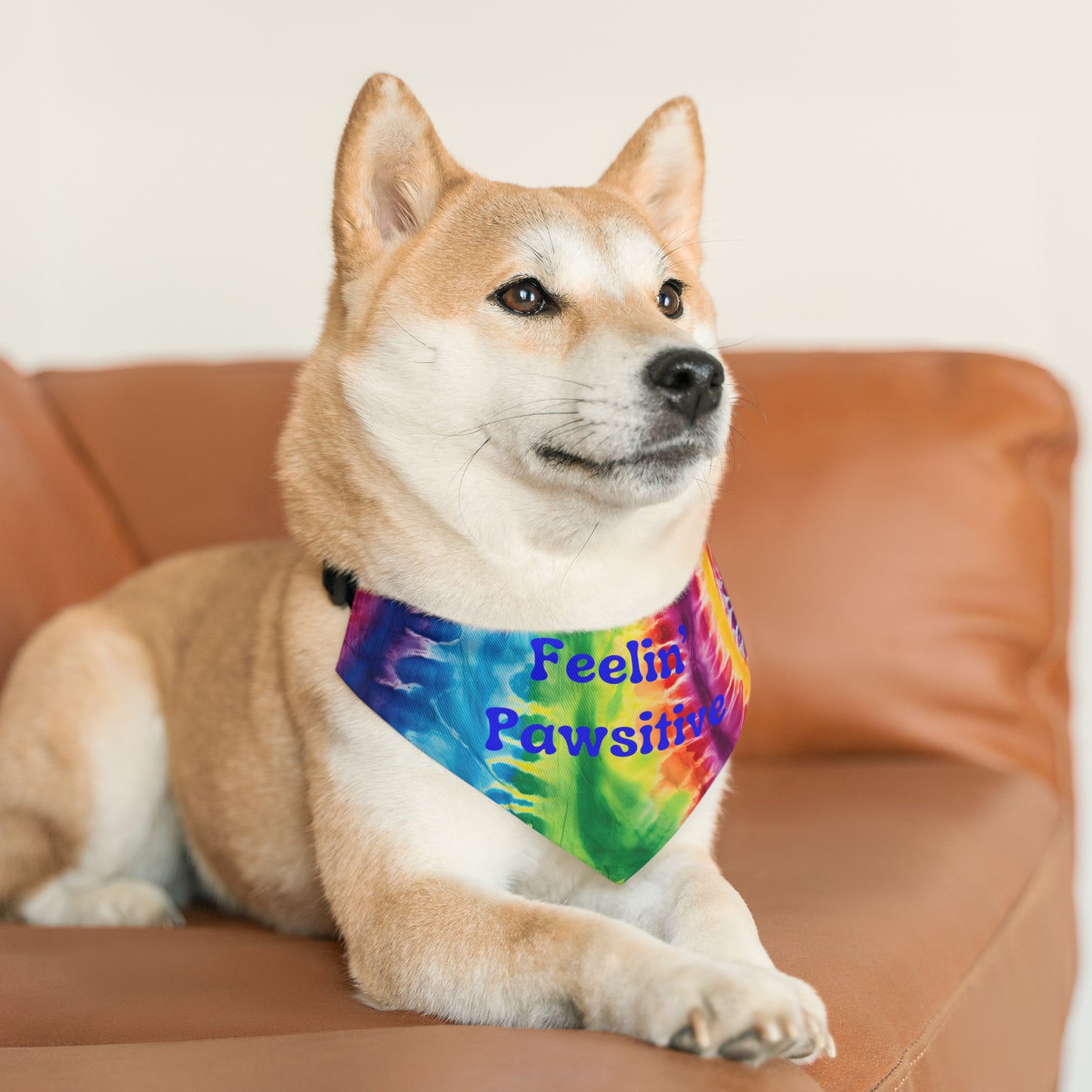 Feeling' Pawsitive Pet Bandana Collar