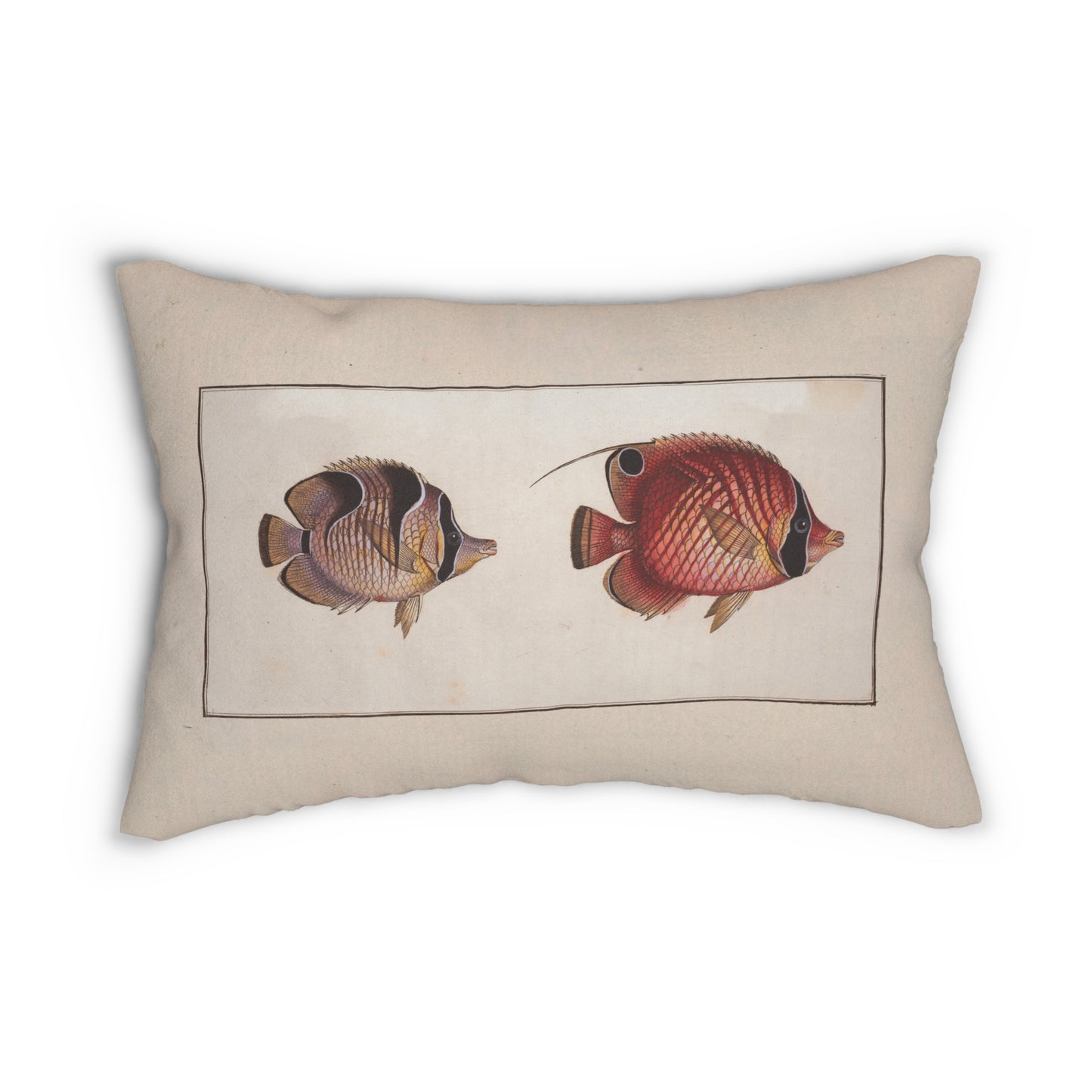 Vintage Illustration Butterfly Fish Spun Polyester Lumbar Pillow