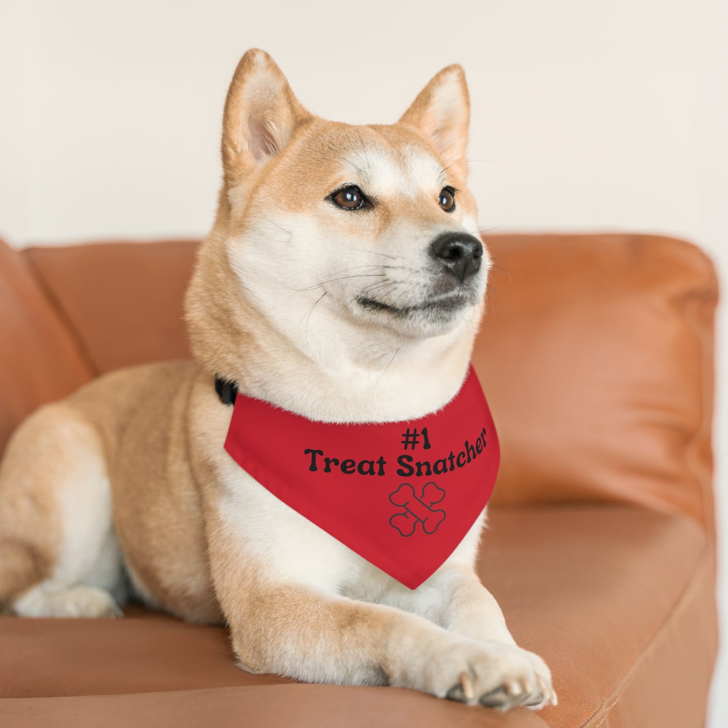 #1 Treat Snatcher Pet Bandana Collar