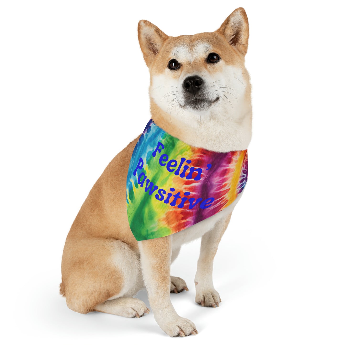 Feeling' Pawsitive Pet Bandana Collar