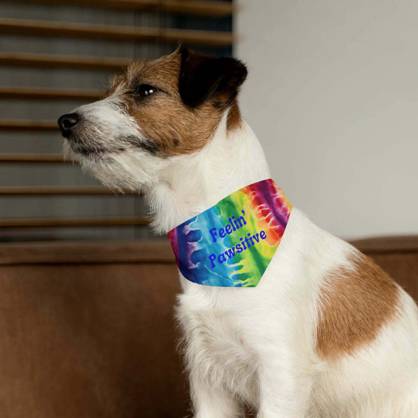 Feeling' Pawsitive Pet Bandana Collar