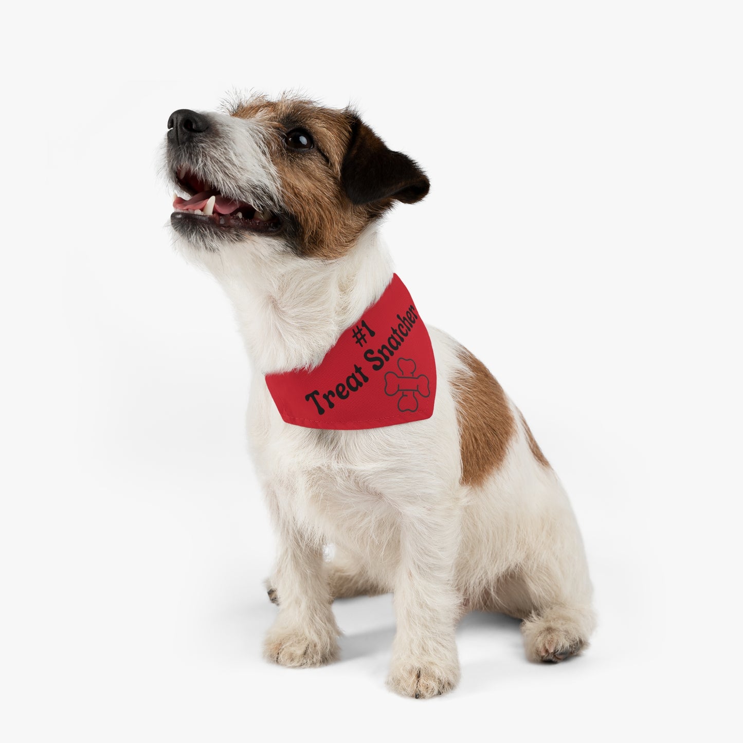 #1 Treat Snatcher Pet Bandana Collar