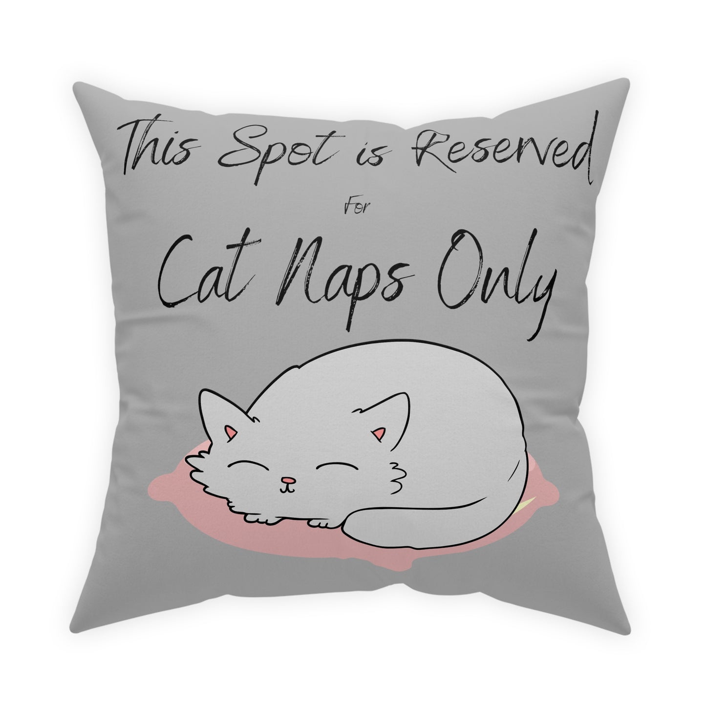 This Spot is Reserved for Cat Naps Only Broadcloth Pillow