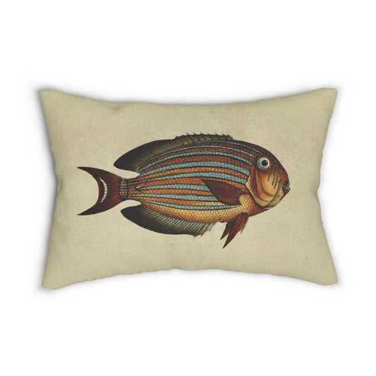 Vintage Illustration Clown Tang Fish Spun Polyester Lumbar Pillow