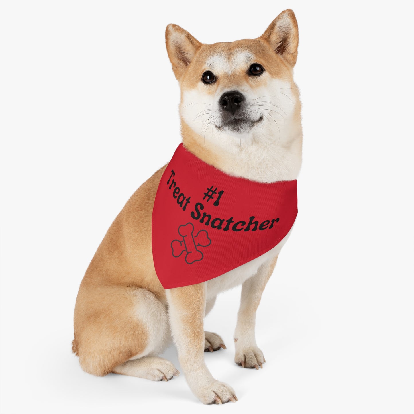 #1 Treat Snatcher Pet Bandana Collar