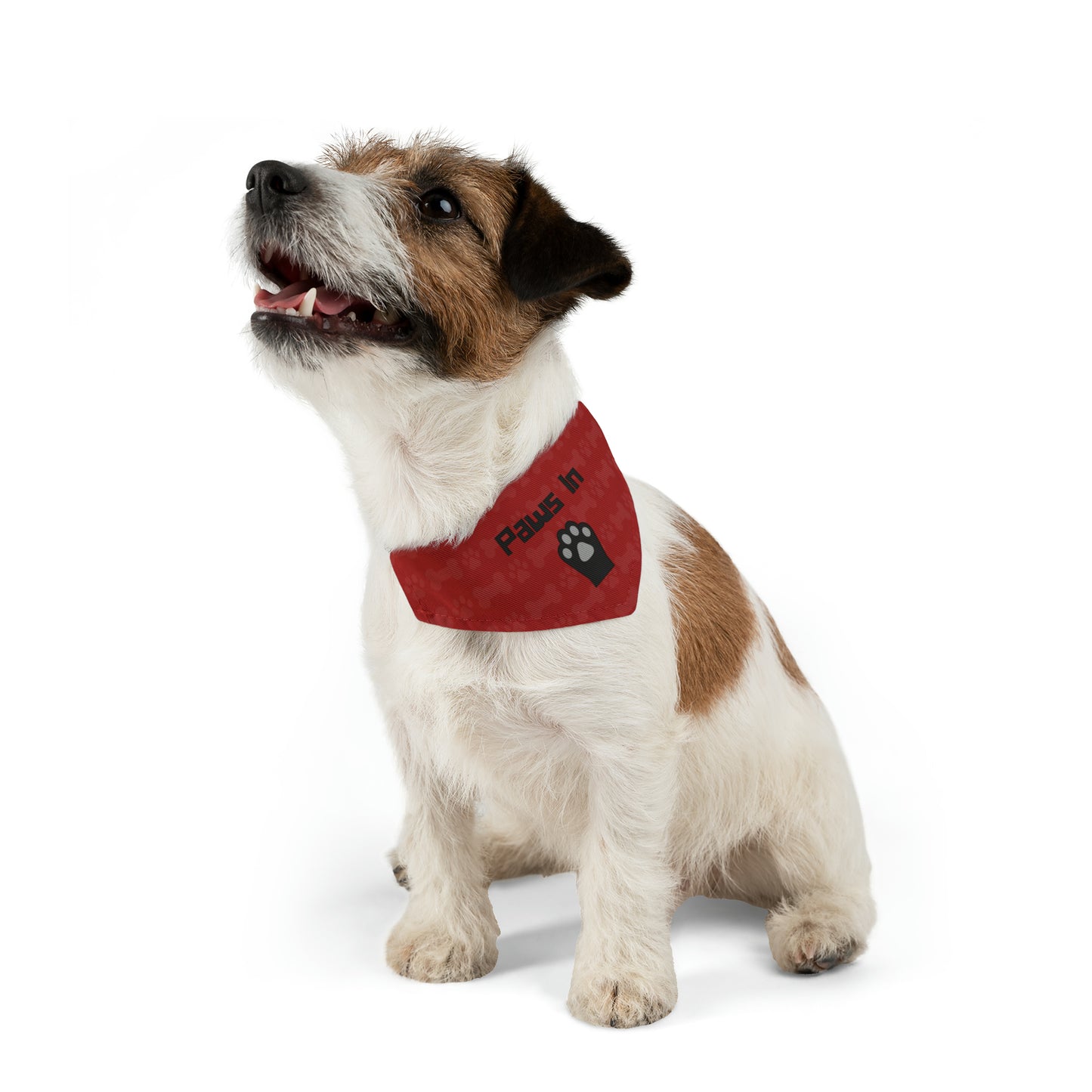 Paws In Pet Bandana Collar