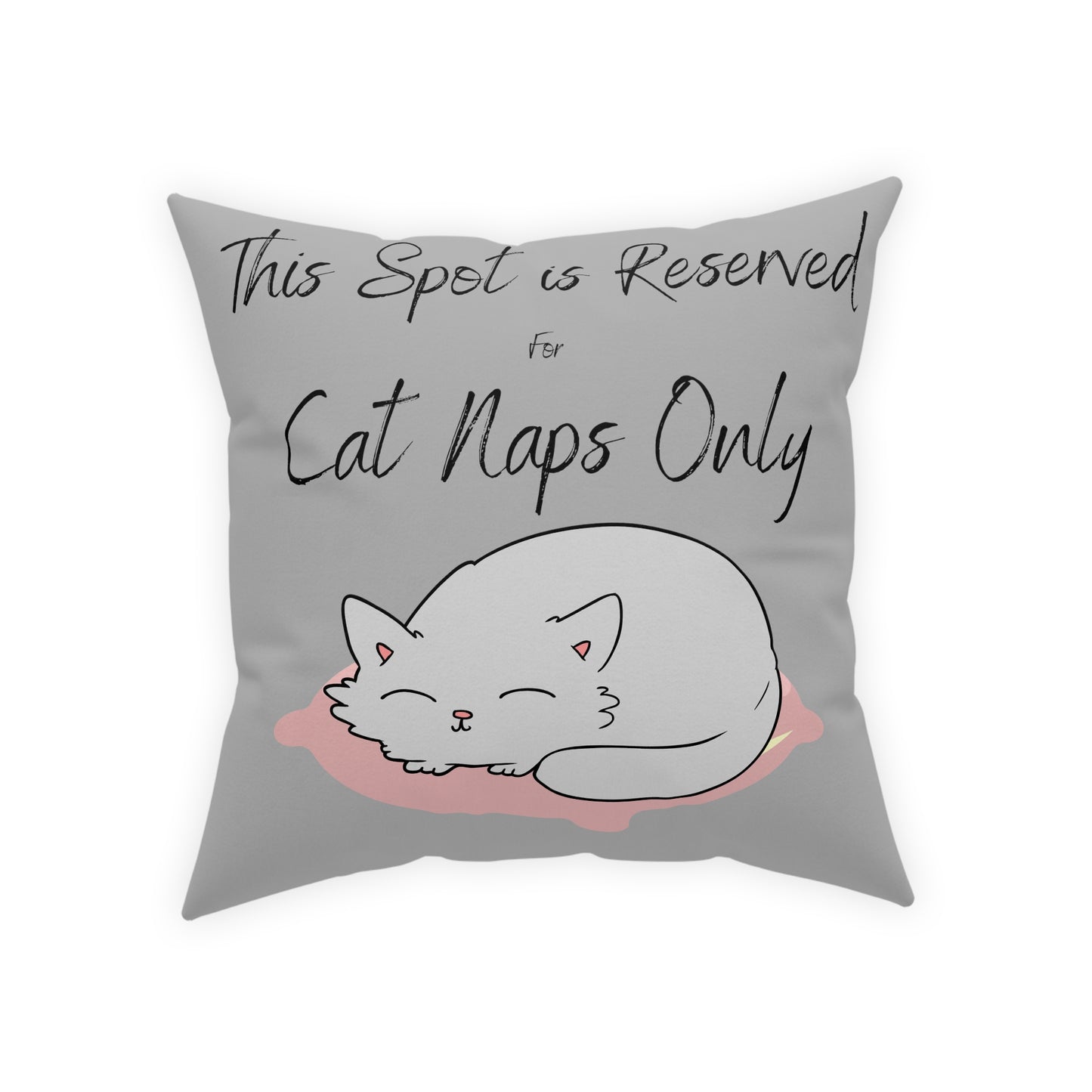 This Spot is Reserved for Cat Naps Only Broadcloth Pillow