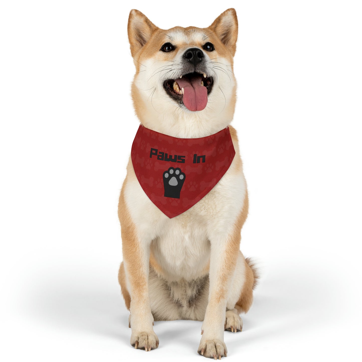 Paws In Pet Bandana Collar